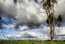 柯隆战胜对手，积分排名有所提升