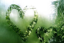 热刺主场大胜伯恩利，球队表现坚挺雄心壮志