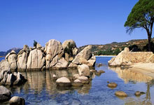 利沃夫迎战贝西克塔斯，备战备战